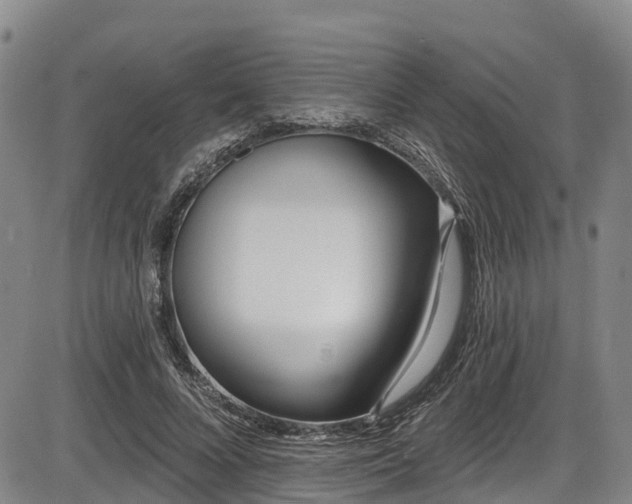X0000086070688200703301107