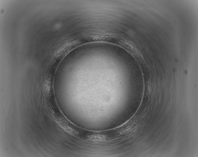X0000086070691200703301107