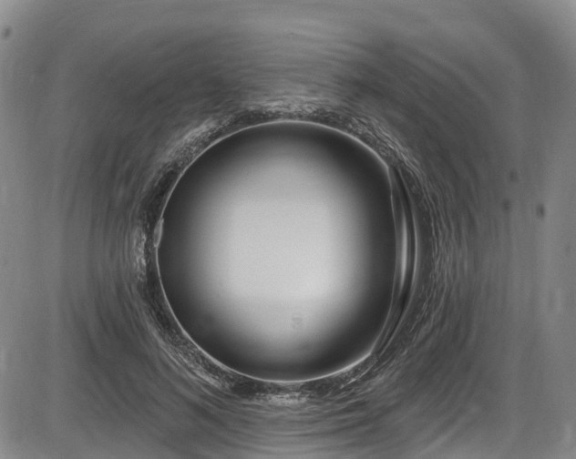 X0000086070692200703301107