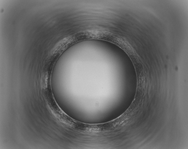 X0000086070694200703301107