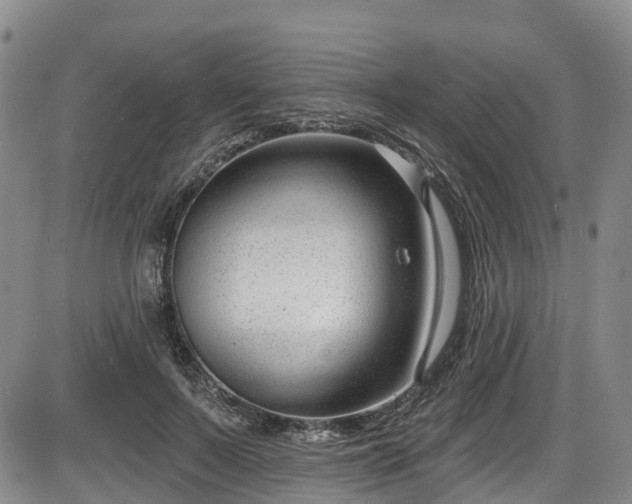 X0000086070695200703301107