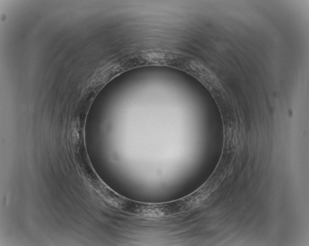 X0000086070702200703301106