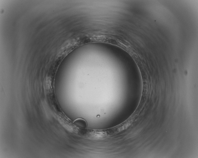 X0000086070711200703301106