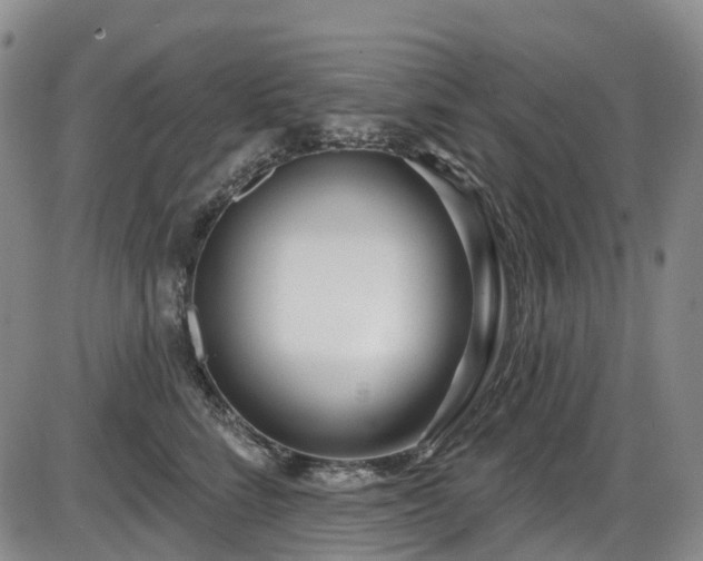 X0000086070712200703301106