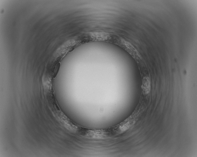 X0000086070713200703301106