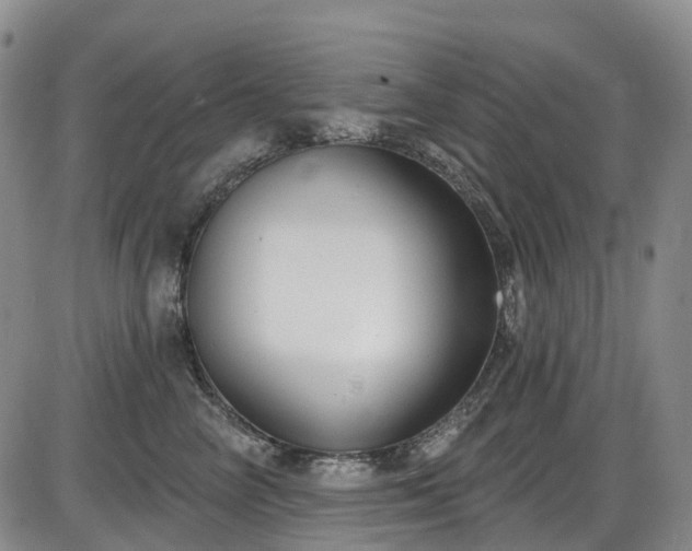 X0000086070714200703301106