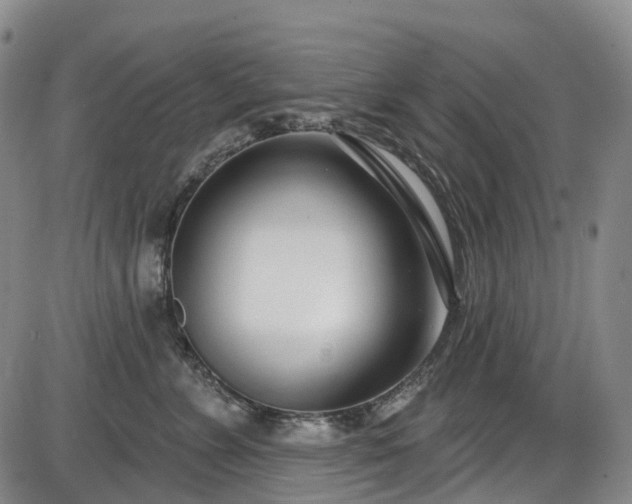 X0000086070715200703301106
