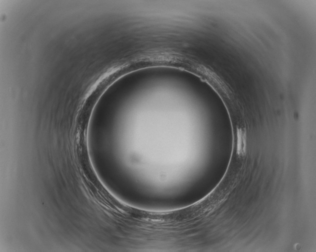 X0000086070723200703301105
