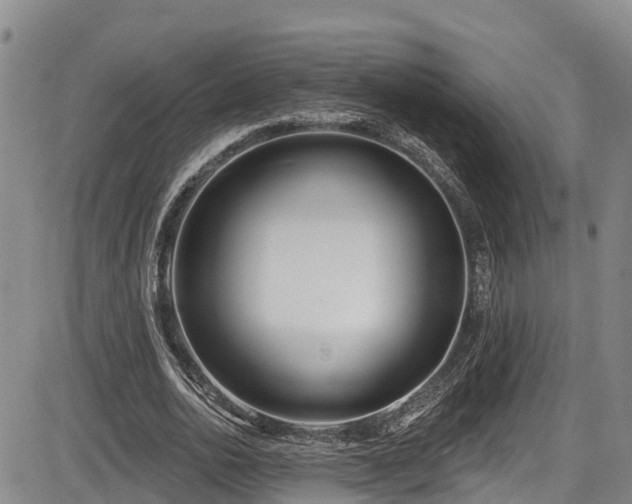 X0000086070726200703301105