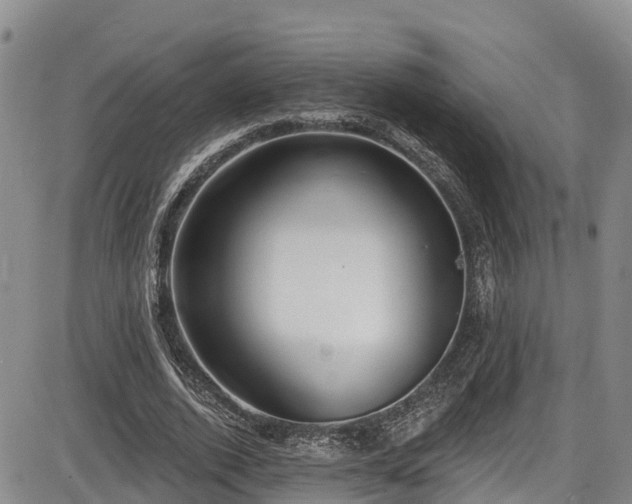 X0000086070728200703301105