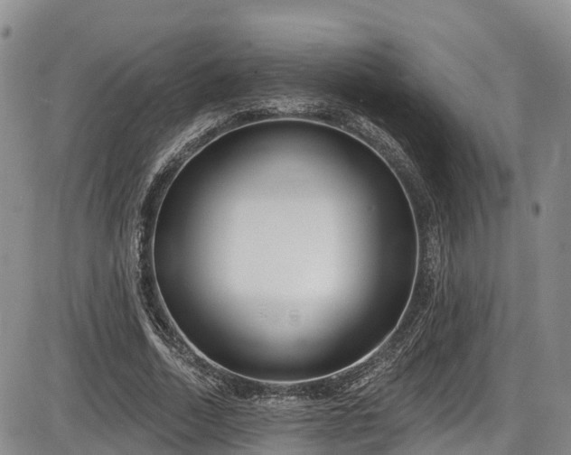 X0000086070730200703301106