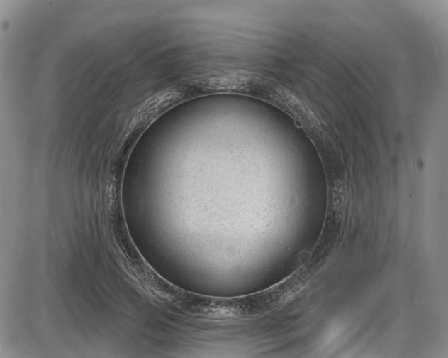 X0000086070741200703301106