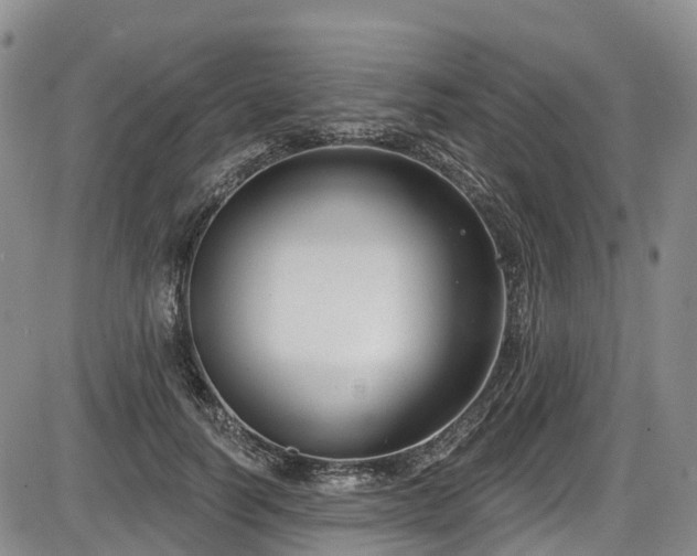 X0000086070746200703301106