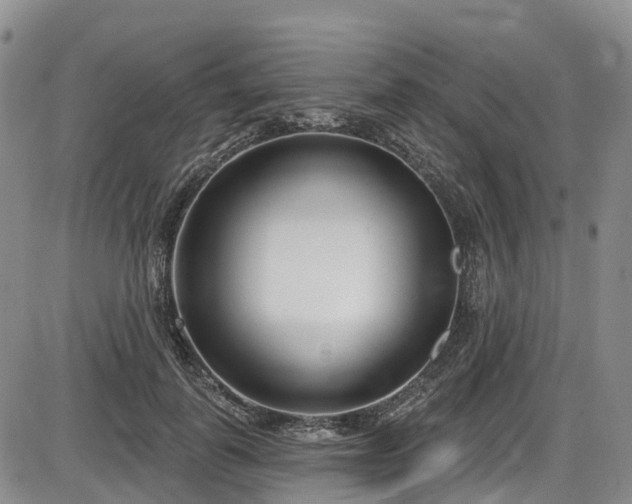 X0000086070747200703301106