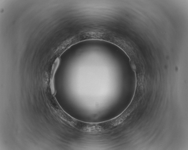 X0000086070752200703301106