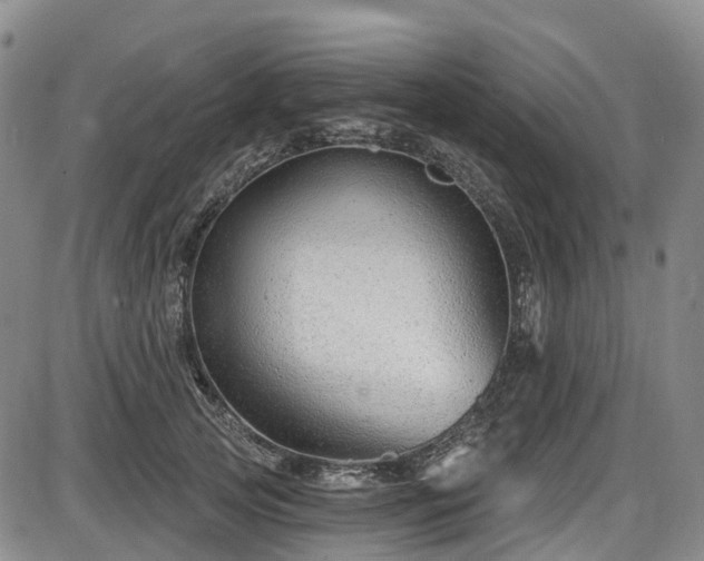 X0000086070753200703301106