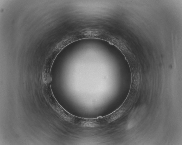 X0000086070755200703301106