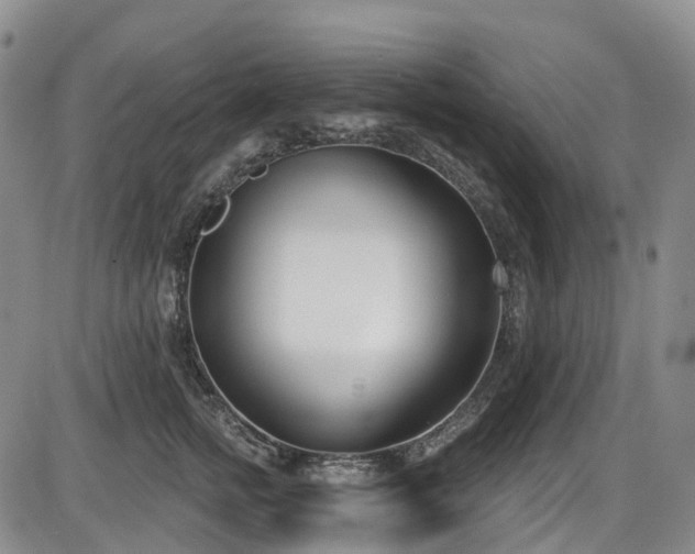 X0000086070758200703301106