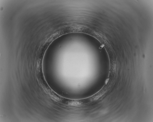 X0000086070759200703301106