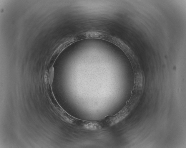 X0000086070761200703301106