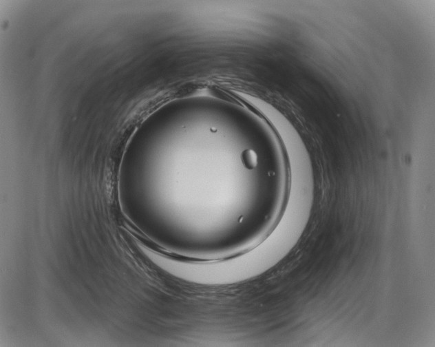 X0000086070762200703301106