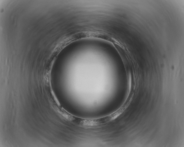 X0000086070766200703301106