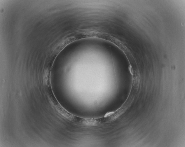 X0000086070767200703301106