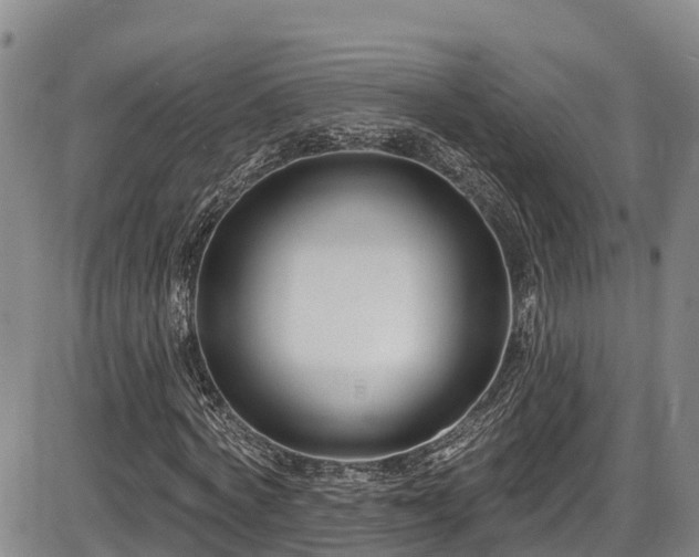 X0000086070772200703301105