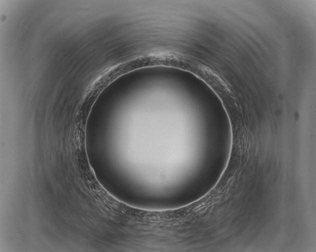 X0000086070776200703301105