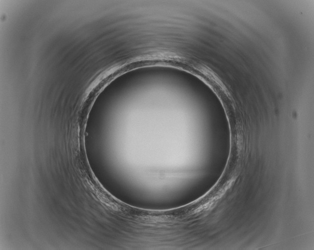 X0000086070781200703301105
