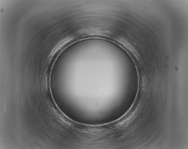 X0000086070782200703301105
