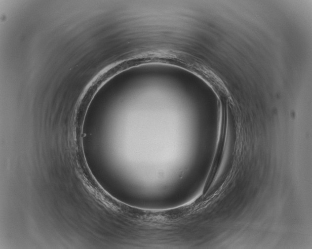 X0000086070784200703301105