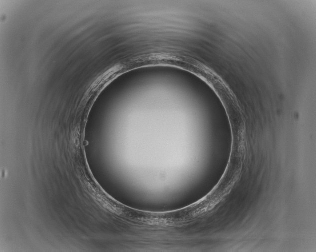 X0000086070785200703301105