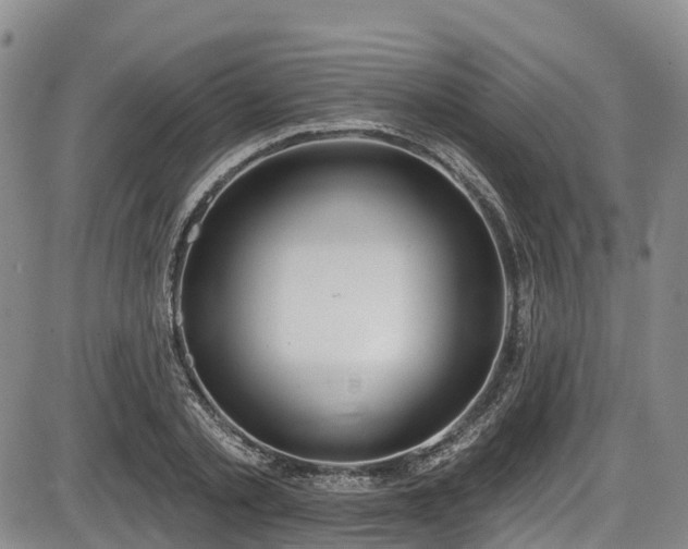 X0000086070789200703301105