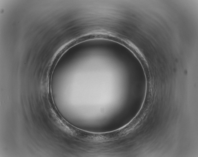 X0000086070791200703301105