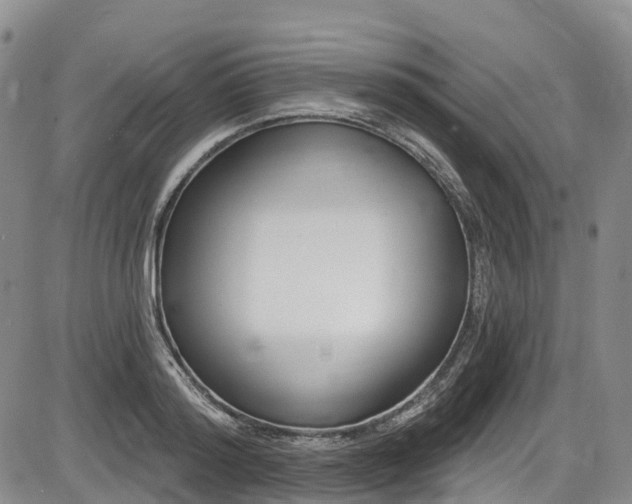 X0000086070796200703301105