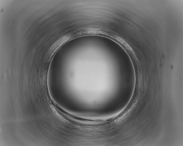 X0000086070801200703301105