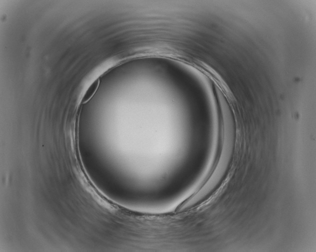 X0000086070812200703301105
