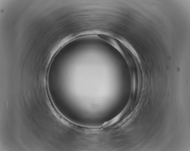 X0000086070813200703301105