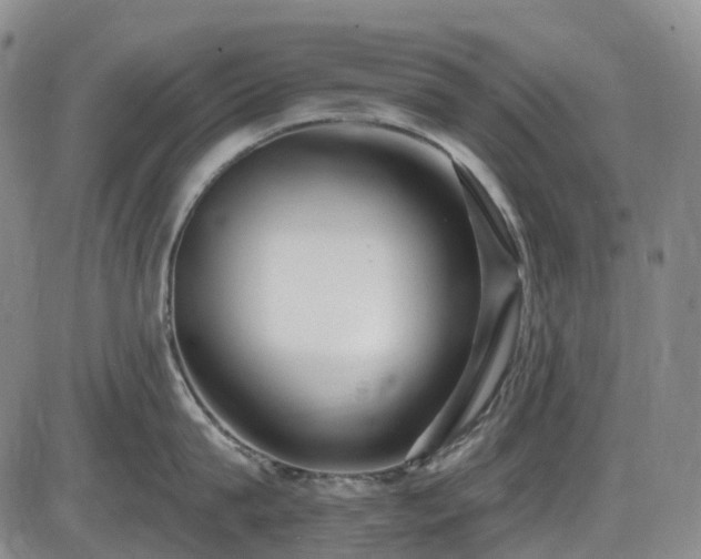 X0000086070815200703301105