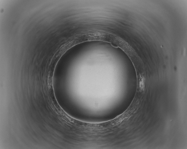 X0000086070819200703301104