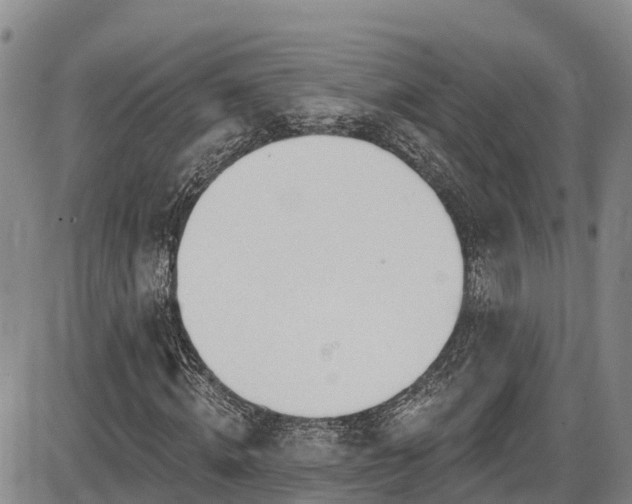 X0000086070820200703301104