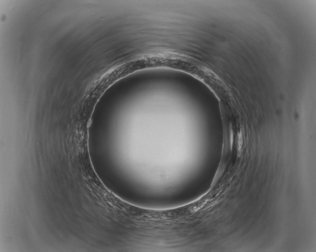 X0000086070822200703301104