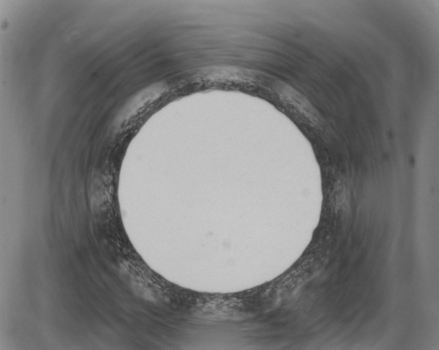 X0000086070824200703301104