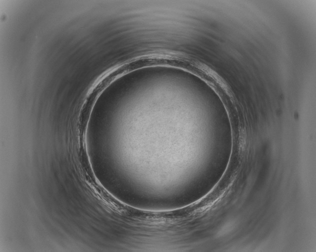 X0000086070829200703301104