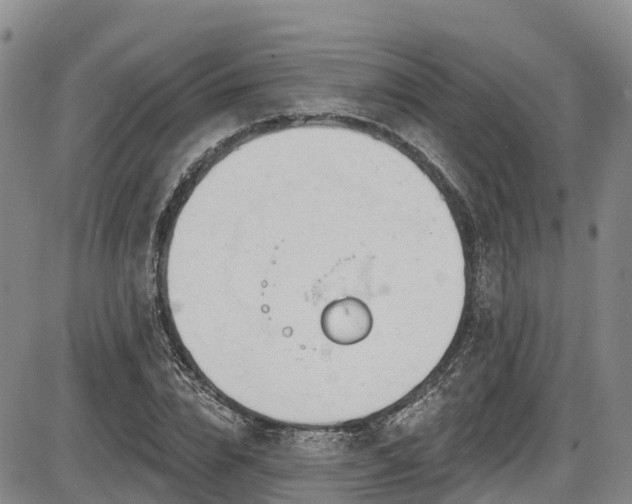 X0000086070832200703301104