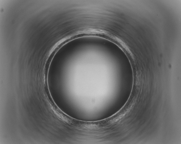 X0000086070837200703301104