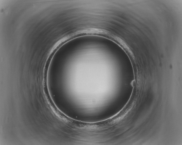 X0000086070845200703301104