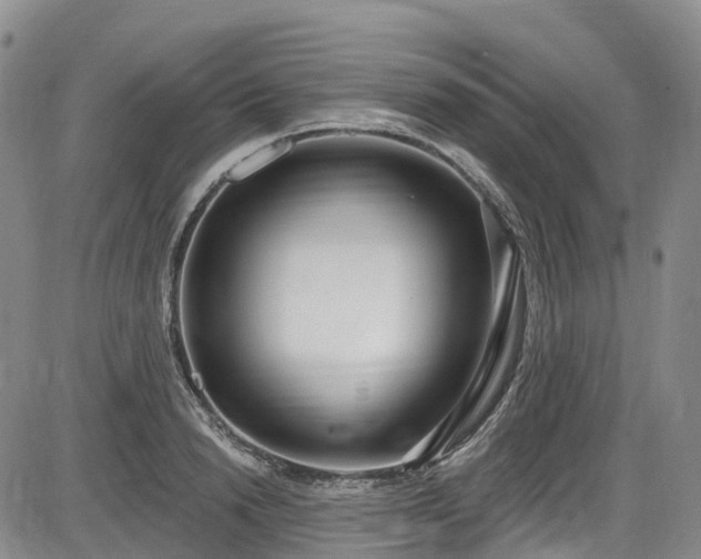 X0000086070846200703301104