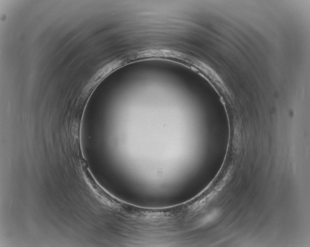 X0000086070849200703301104